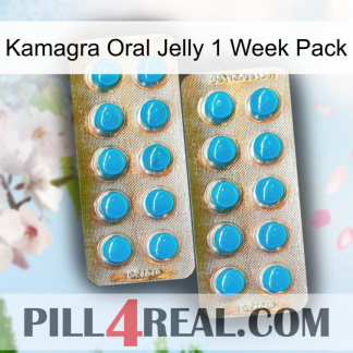 Kamagra Oral Jelly 1 Week Pack new08.jpg